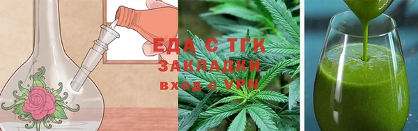 прущие грибы Каменка