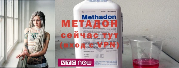 прущие грибы Каменка