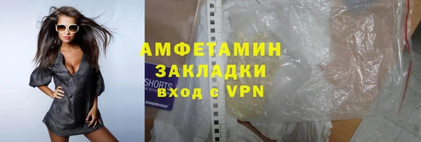 прущие грибы Каменка