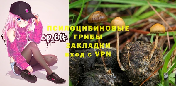 прущие грибы Каменка