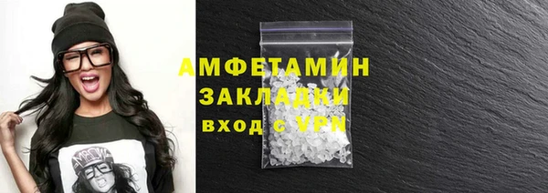 прущие грибы Каменка