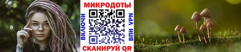 Галлюциногенные грибы прущие грибы  Купить где  Гдов 